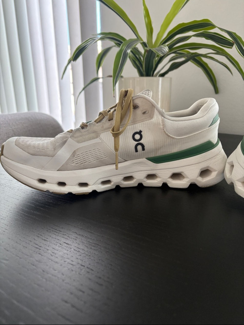 On Cloudrunner - Picture 4 of 5